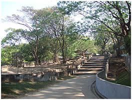 ヤンゴン動物園